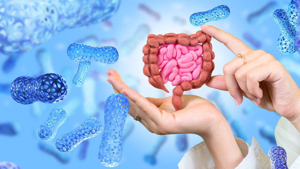 Ways to Enhance your Gut Microbiome